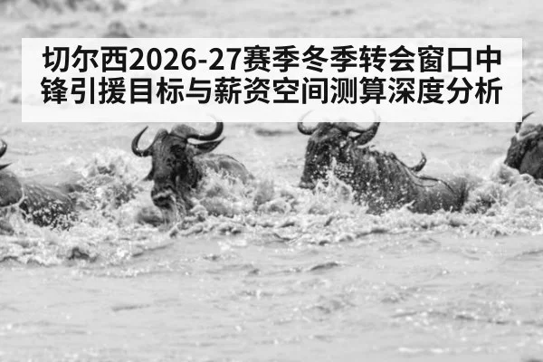 切尔西2026-27赛季冬季转会窗口中锋引援目标与薪资空间测算深度分析 | ayx